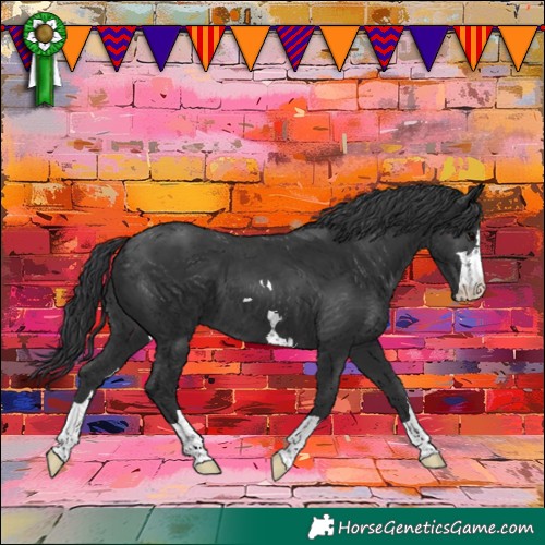 Horse Color:Black 