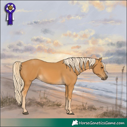 Horse Color:Palomino 