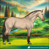 Horse Color:Bay Dun