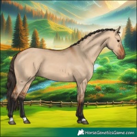Horse Color:Bay Dun