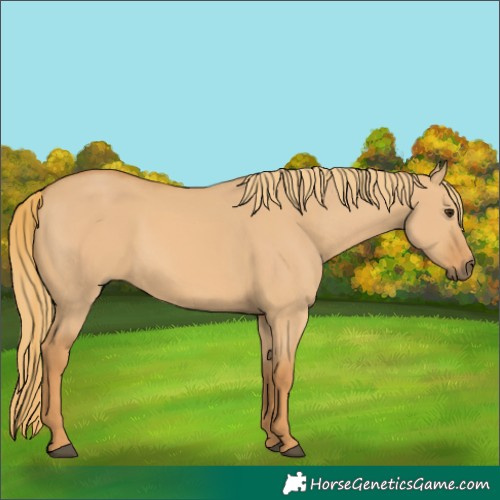 Horse Color:Red Dun 