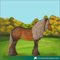Horse Color:Chocolate Palomino 
