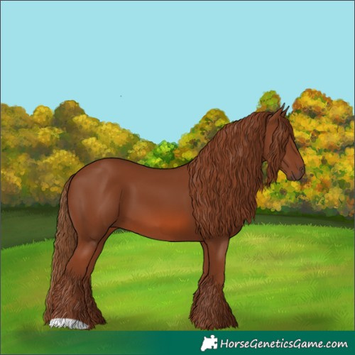 Horse Color:Chestnut 