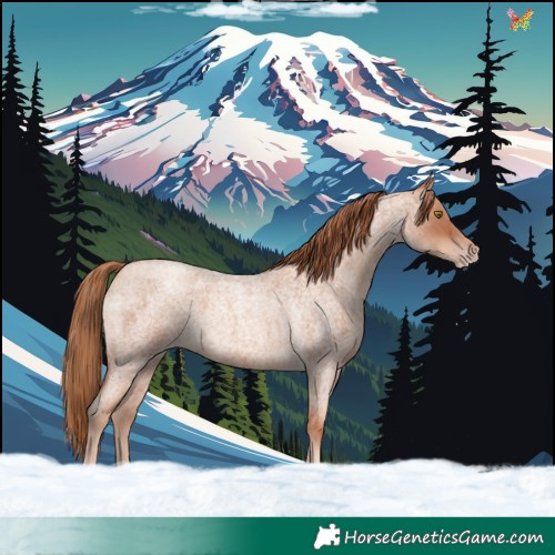 Horse Color:White Spotted Gold Champagne Roan