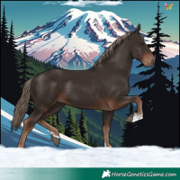 Horse Color:Liver Chestnut Rabicano 