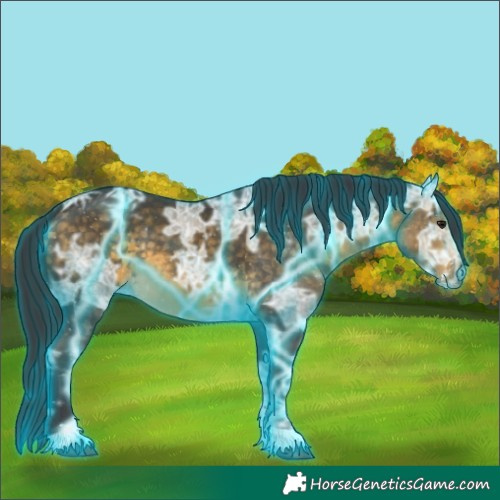 Horse Color:Thunderstruck Buckskin Ice Sabino