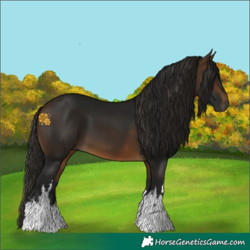 Horse Color:Gray White Spotted Buckskin 