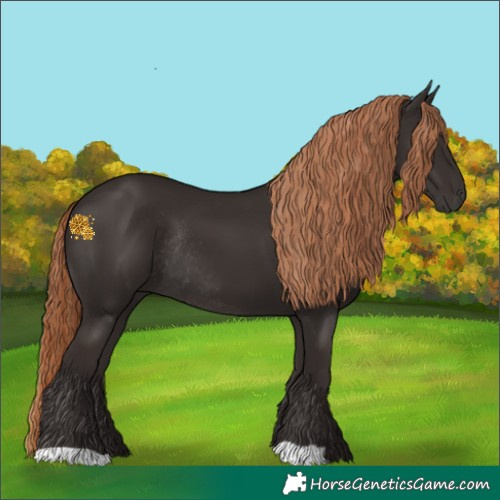 Horse Color:Liver Chestnut Rabicano 
