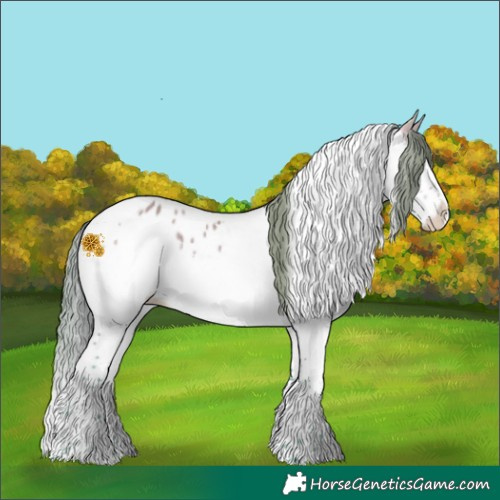 Horse Color:Watercolor Sable Cream Champagne Splash Tobiano Appaloosa 
