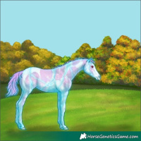 Horse Color:Thunderstruck Watercolor Liver Chestnut Chinchilla Sabino Tobiano Rabicano