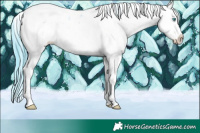 Horse Color:Watercolor Brown Ice Sabino Splash 