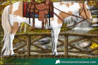 Horse Color:Chestnut Splash Tobiano Frame  and Chestnut Splash Tobiano Frame 