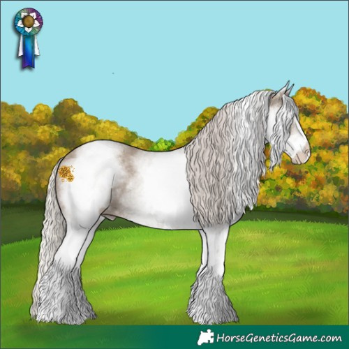 Horse Color:White Spotted Silver Grullo 