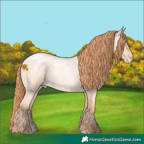 Horse Color:Classic Champagne Roan Pearl 