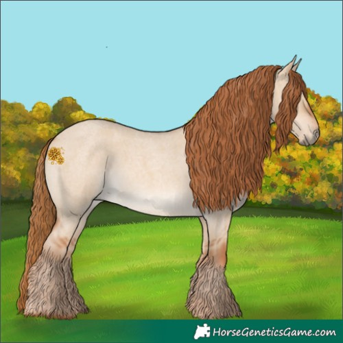 Horse Color:Red Dun Roan 