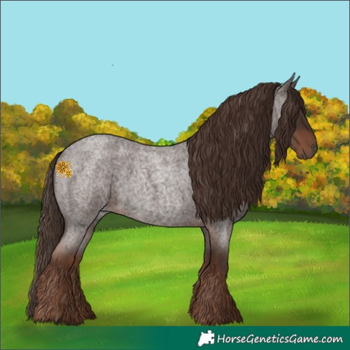 Horse Color:Liver Red Roan 