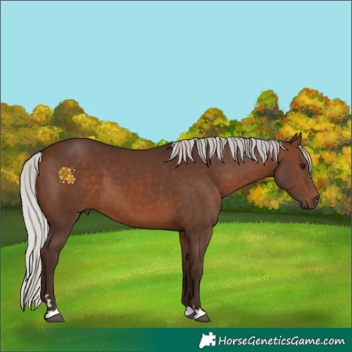 Horse Color:Silver Brown 