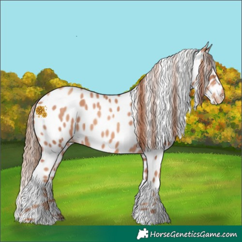 Horse Color:Gold Champagne Leopard 