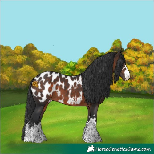 Horse Color:Brown Near Leopard 