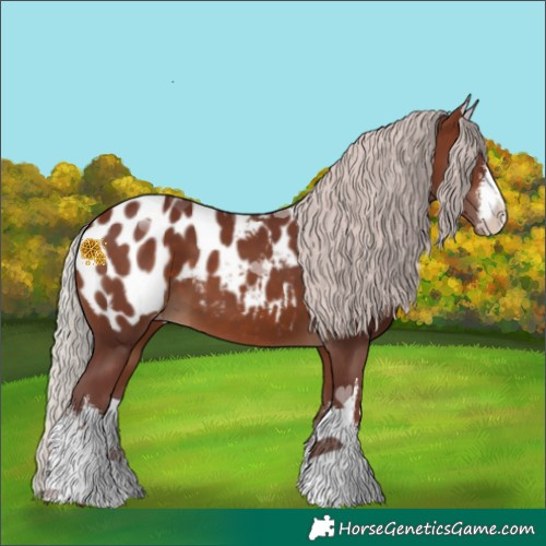 Horse Color:White Spotted Chocolate Silver Brown Near Leopard 