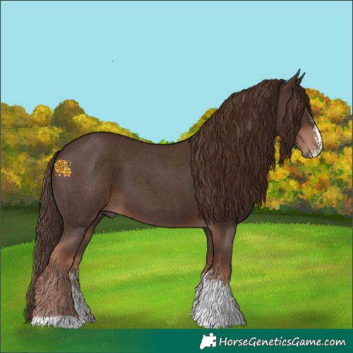 Horse Color:Liver Chestnut Sabino 