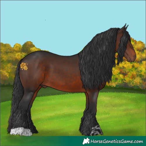 Horse Color:Brown 