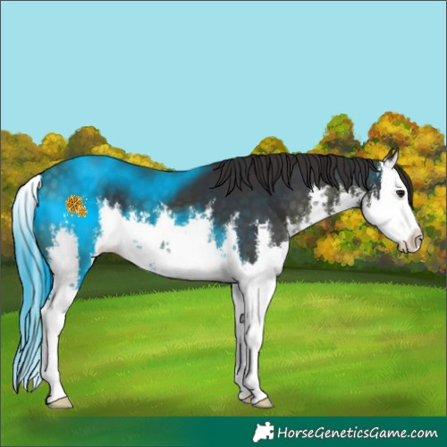 Horse Color:White Spotted Buckskin Splash 