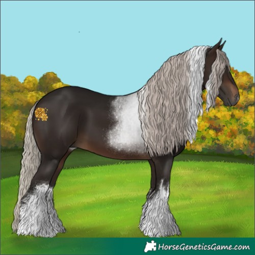 Horse Color:Gray White Spotted Silver Brown Tobiano 