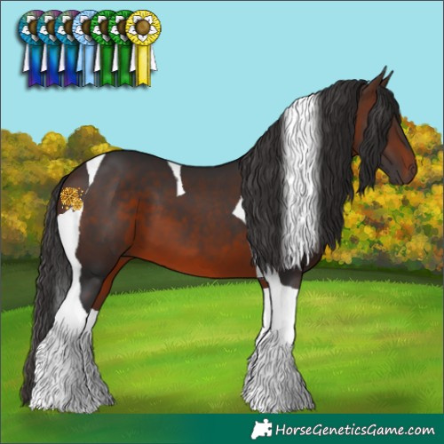 Horse Color:Brown Tobiano 