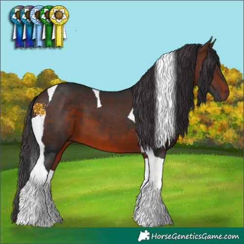 Horse Color:Brown Tobiano 