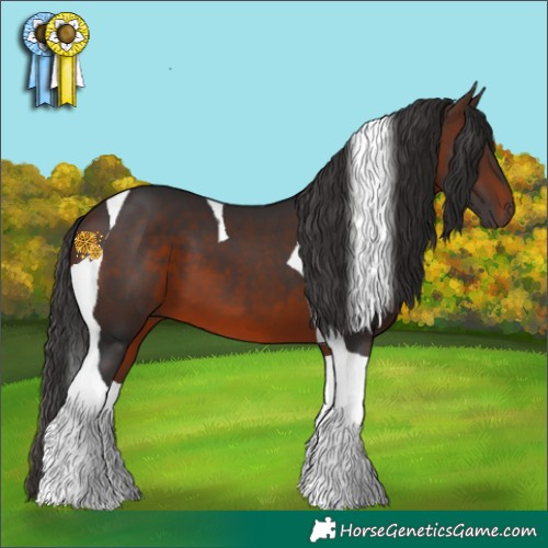 Horse Color:Brown Tobiano 