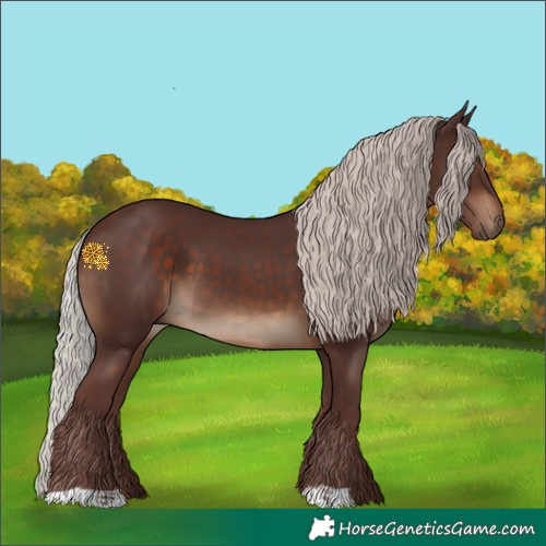 Horse Color:Chocolate Silver Brown 