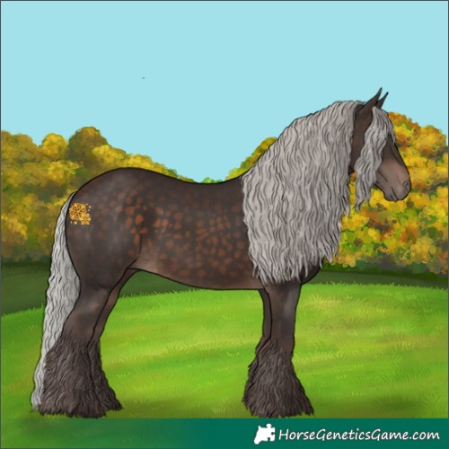 Horse Color:Silver Brown 
