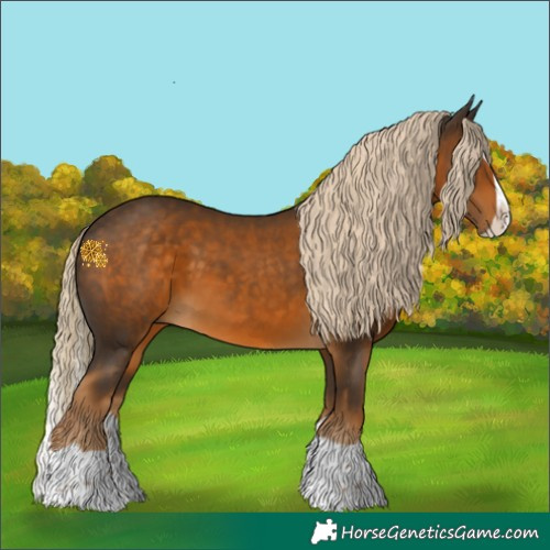 Horse Color:Chocolate Palomino Splash 