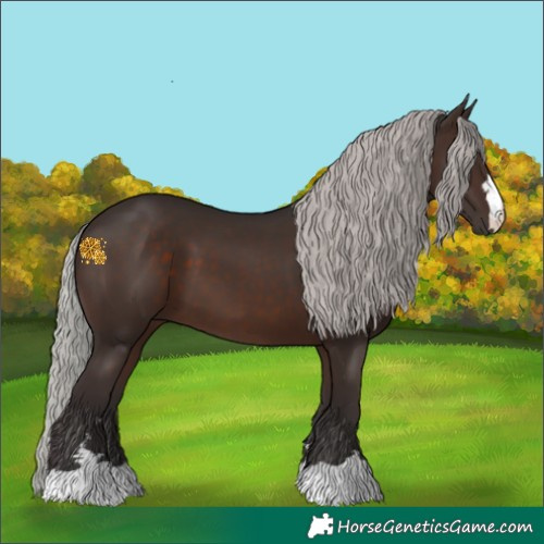 Horse Color:Silver Brown 