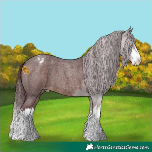 Horse Color:White Spotted Chocolate Brown Roan Blanket 