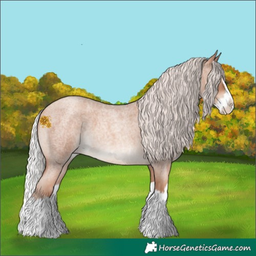 Horse Color:Chocolate Silver Sable Champagne Roan Splash 
