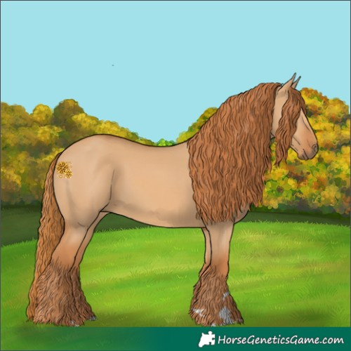 Horse Color:Red Dun