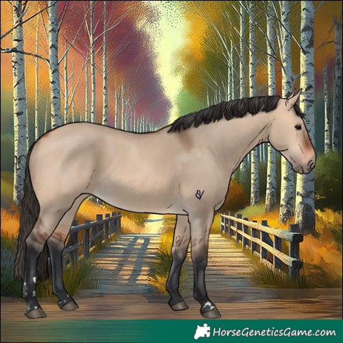 Horse Color:Bay Dun 
