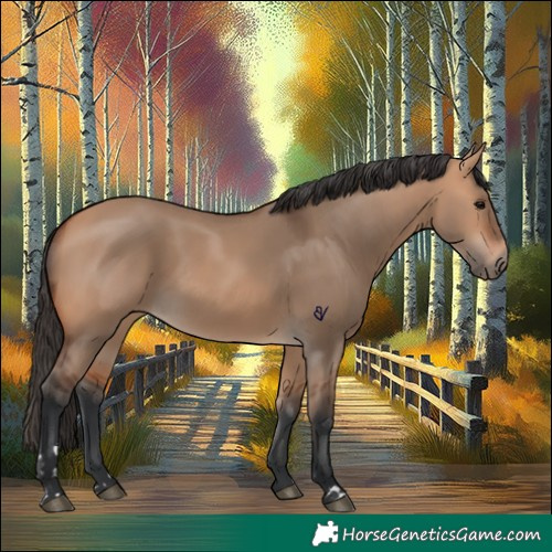 Horse Color:Bay Dun 