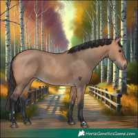 Horse Color:Bay Dun 
