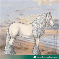 Horse Color:Cremello Tobiano 