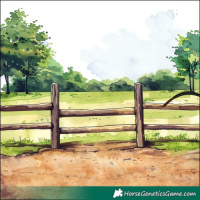 Horse Color:Chestnut Rabicano 