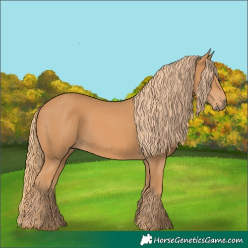 Horse Color:Chestnut Rabicano 