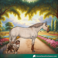 Horse Color:Red Dun Roan 