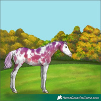 Horse Color:Watercolor White Spotted Liver Chestnut Splash