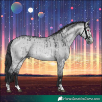 Horse Color:Bay Chinchilla Dun Brindle 