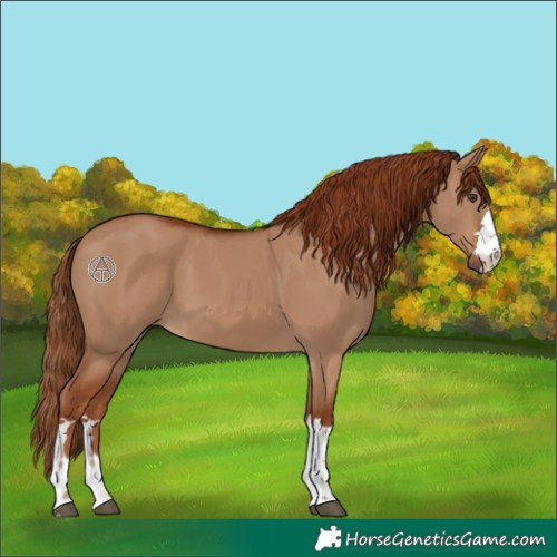 Horse Color:Red Dun 