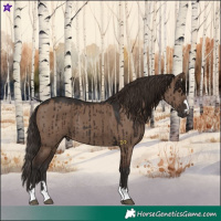 Horse Color:Liver Red Dun Brindle 