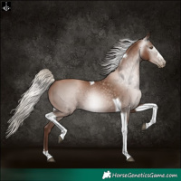 Horse Color:Gray Silver Black Pearl Tobiano 